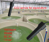 4 - o sensor da monitoração da qualidade de água da imersão 20mA dissolveu o sensor do CO2 do dióxido de carbono